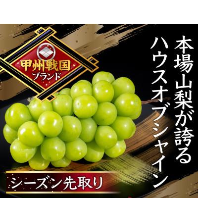 ふるさと納税 山梨市 [本場山梨の旬を堪能]今、話題のハウスオブシャインマスカット全国に先駆け2026年6月中旬発送