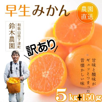 ふるさと納税 海南市 早生みかん5kg(ご家庭用混合サイズ)和歌山県鈴木農園より産地直送!傷み補償分150g入り