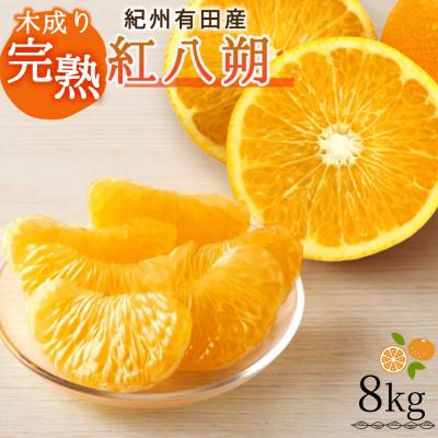 ふるさと納税 由良町 紀州有田産木成り完熟紅八朔8kg