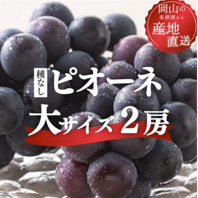 ふるさと納税 真庭市 [2026年先行予約]ピオーネ 甘さも濃厚 大サイズ2房入 ご家庭用(岡山県産)