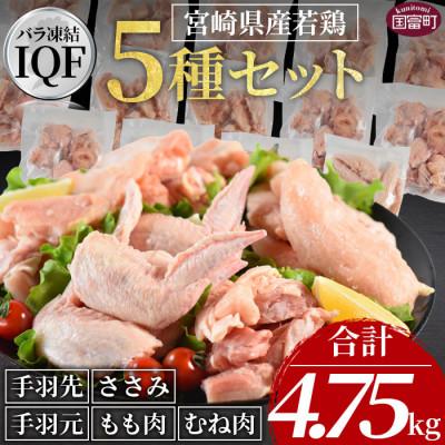 ふるさと納税 国富町 宮崎県産若鶏肉IQF 5種セット 4.75kg