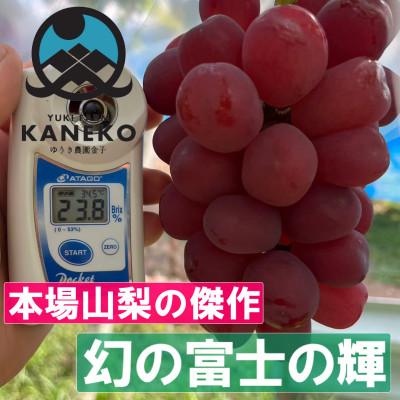 ふるさと納税 山梨市 [超希少なレア品種]ごく限られた生産者しか許されない贈答プレミアム富士の輝 9月下旬発送