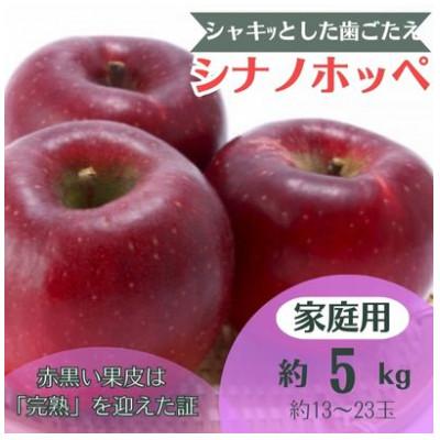 ふるさと納税 中野市 りんご シナノホッペ 約5kg 家庭用 (13玉〜23玉)