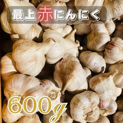 ふるさと納税 新庄市 最上伝承野菜[最上赤にんにく] 600g(バラ)