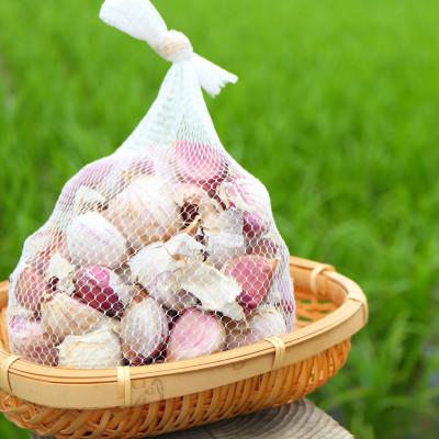 ふるさと納税 新庄市 最上伝承野菜【最上赤にんにく】 600g(バラ