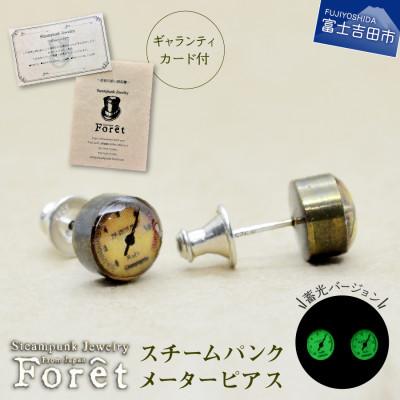 ふるさと納税 富士吉田市 スチームパンク メーターピアス SV925ポスト&amp;キャッチ