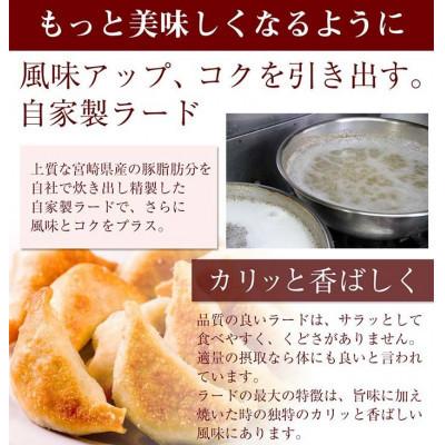 ふるさと納税 高鍋町 馬渡のもっちり餃子160個