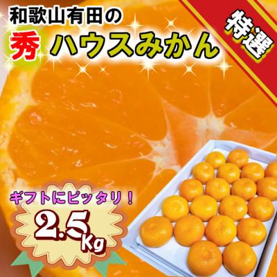 ふるさと納税 由良町 特撰品!和歌山有田の「ハウスみかん」[赤秀]約2.5kg 化粧箱入り ギフトにも (6月発送分)