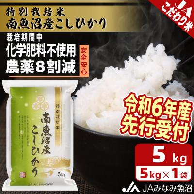 ふるさと納税 南魚沼市 [令和6年産先行受付]JAみなみ魚沼「特別栽培米南魚沼産こしひかり8割減」精米5kg