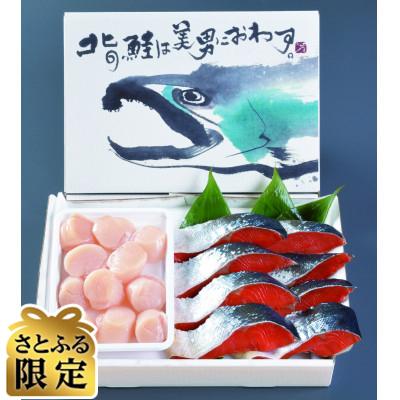 ふるさと納税 室蘭市 [さとふる限定]紅鮭切身・ほたて貝柱詰め合わせ