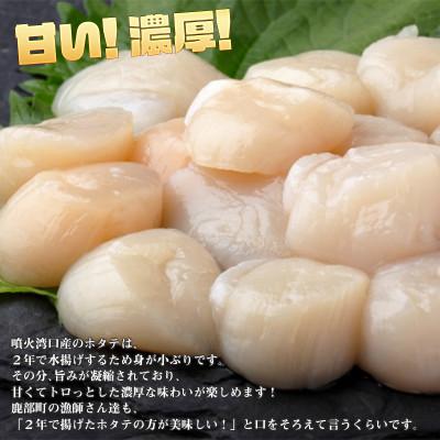 ふるさと納税 鹿部町 【北海道産】お刺身用 ホタテ貝柱 600g (300g×2) T08-5S｜y-sf｜02