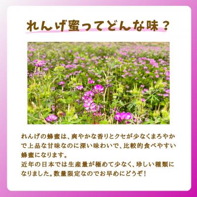 ふるさと納税 大牟田市 【5月〜6月発送】みつばちの雫 国産れんげ蜜 1000gの画像