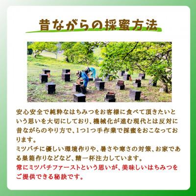 ふるさと納税 大牟田市 【5月〜6月発送】みつばちの雫 国産れんげ蜜 1000gの画像