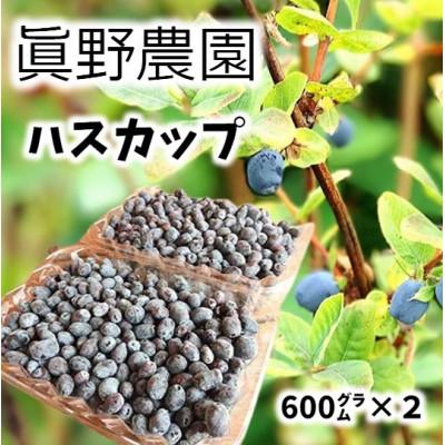 ふるさと納税 美唄市 真野農園のハスカップ(600g×2)