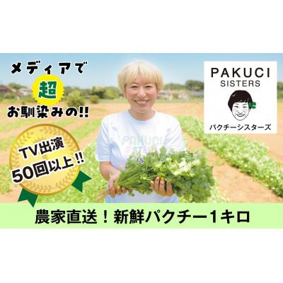 ふるさと納税 八千代市 『PAKUCI SISTERS』の新鮮パクチー 1kg