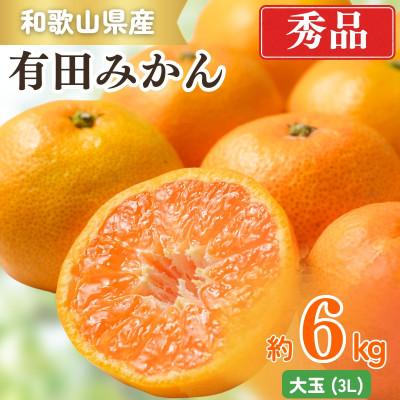 ふるさと納税 太地町 [秀品]和歌山有田みかん約6kg大玉(3Lサイズ)「2026年11月中旬より順次発送」[太地町]