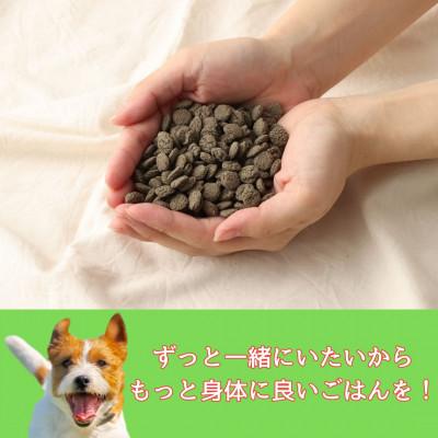ふるさと納税 高鍋町 おさかな華 1kg 薄型タイプ(ナチュラルドッグフード)の画像