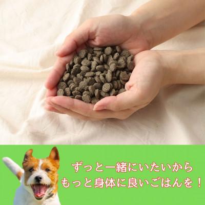 ふるさと納税 高鍋町 ファインおさかな華 500g 薄型タイプ(ナチュラルドッグフード)の画像