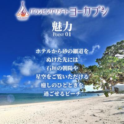 ふるさと納税 石垣市 石垣島 グランピングリゾートヨーカブシ 施設利用券　3,000円分｜y-sf｜02