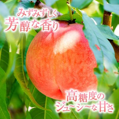ふるさと納税 甲州市 味自慢桃【訳あり品】を感謝込めて朝どれでお贈りします!2kg(4〜8玉)の画像