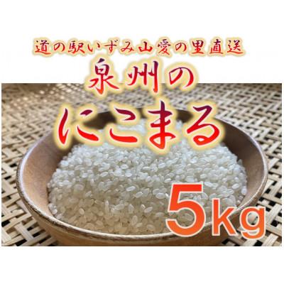 ふるさと納税 和泉市 大阪府和泉市の農家さんが心を込めて作った「にこまる」 一袋5kg。道の駅で大好評。