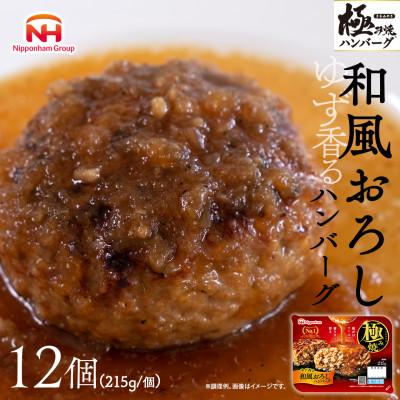 ふるさと納税 常総市 極み焼ハンバーグ(和風おろしソース)12個セット 加工食品 レトルト惣菜