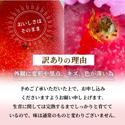 ふるさと納税 宮崎市 宮崎完熟マンゴー 訳あり 約1.5kg サイズ