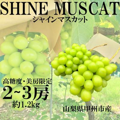 ふるさと納税 甲州市 甲州市産 シャインマスカット 秀等品 2〜3房 約1.2kg