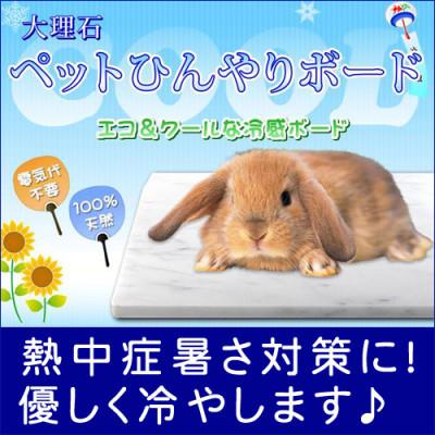 ふるさと納税 大野町 うさぎひんやり大理石マット 30×20センチ イタリア産 ビアンコカラーラ