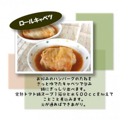 ふるさと納税 北海道 完熟トマト鍋スープ 1箱 スープDELI（R