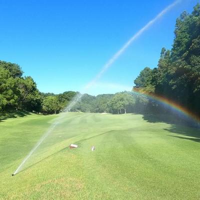 ふるさと納税 松山市 道後海水浴場から約10分!【週日】2名様分セルフ掻き鳴らす券