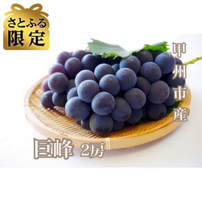 ふるさと納税 甲州市 [さとふる限定]大人気!甲州市産 朝採れ 巨峰 約1kg(2房)
