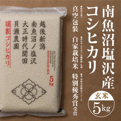 ふるさと納税 南魚沼市 令和8年産予約「貝瀬農園米」5割減農薬米 南魚沼塩沢産コシヒカリ 玄米5kg