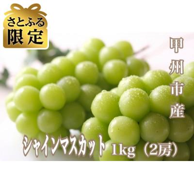 ふるさと納税 甲州市 [さとふる限定][2026年先行受付]産地直送やみつきシャインマスカット 1kg(2房)