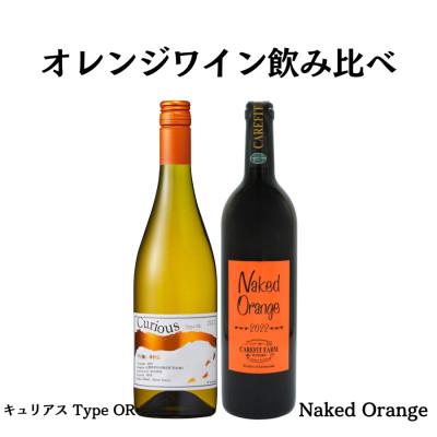 ふるさと納税 甲州市 大ブーム中!オレンジワイン飲み比べ 〜ケアフィットファームワイン 蒼龍葡萄酒〜