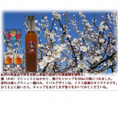 ふるさと納税 紀の川市 孫さんの紀州南高梅 梅シロップ500ml×5本セット_1