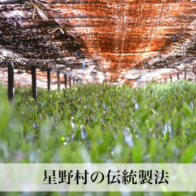 ふるさと納税 芦屋町 星野村の八女抹茶 姫みどり　濃茶用 20g｜y-sf｜03