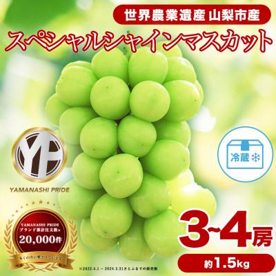 ふるさと納税 山梨市 2026年発送 フルーツ王国山梨産厳選 シャインマスカット 3〜4房(約1.5kg)