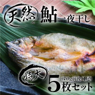 ふるさと納税 四万十町 頭からガブッと!四万十川の天然鮎 一夜干し(70g前後×5枚セット)