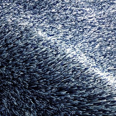 ふるさと納税 和泉市 【200×250cm】ネオグラス  カーペット  ラグ  カラー:ネイビーの画像