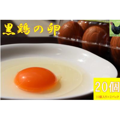 ふるさと納税 中島村 [リピーター続出!]黒鶏の卵20個(Mサイズ)