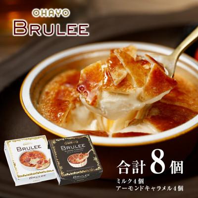 ふるさと納税 鉾田市 オハヨー乳業 OHAYO ブリュレ アイスクリームギフト 詰め合わせ 2種×8個入 BRULEE