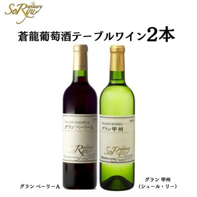 ふるさと納税 甲州市 蒼龍葡萄酒テーブルワイン赤白2本セット