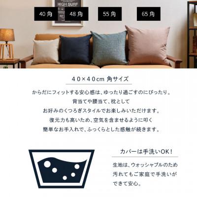 blocco】ブロッコ フェザー100%クッション2個セット