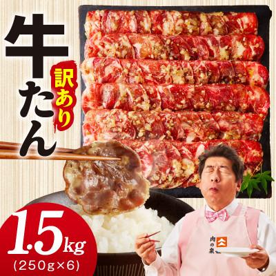 ふるさと納税 泉佐野市 ねぎ塩 牛たん 1.5kg 小分け 約250g×6P 成型 訳あり 099H4048