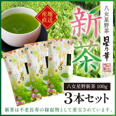 ふるさと納税 飯塚市 新茶 八女星野茶 100g×3本