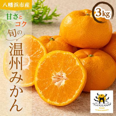 ふるさと納税 八幡浜市 柑橘の鬼たちがつくる八幡浜産・温州みかん3kg[A56-55]