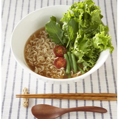 ふるさと納税 美濃加茂市 ベジタリアンのラーメン20食セット