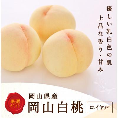 ふるさと納税 勝央町 [2026年発送]岡山県産 白桃 6玉 (1.5kg以上) 等級:ロイヤル 化粧箱入り