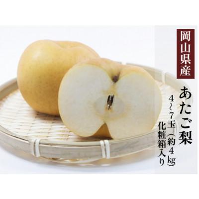 ふるさと納税 勝央町 岡山県産 あたご梨 4〜7玉(約4kg) 化粧箱入り